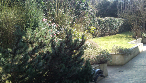 THUBVERT Jardinier paysagiste à Nanterre Mont Valérien, Rueil Malmaison, suresnes, Saint-Cloud...
