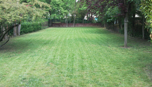THUBVERT Jardinier paysagiste à Nanterre Mont Valérien, Rueil Malmaison, suresnes, Saint-Cloud...