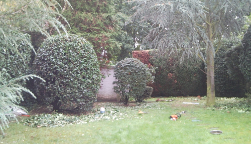 THUBVERT Jardinier paysagiste à Nanterre Mont Valérien, Rueil Malmaison, suresnes, Saint-Cloud...