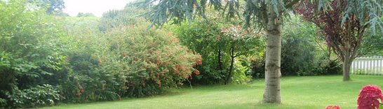 Jardinier paysagiste à Nanterre ( Mont Valérien )